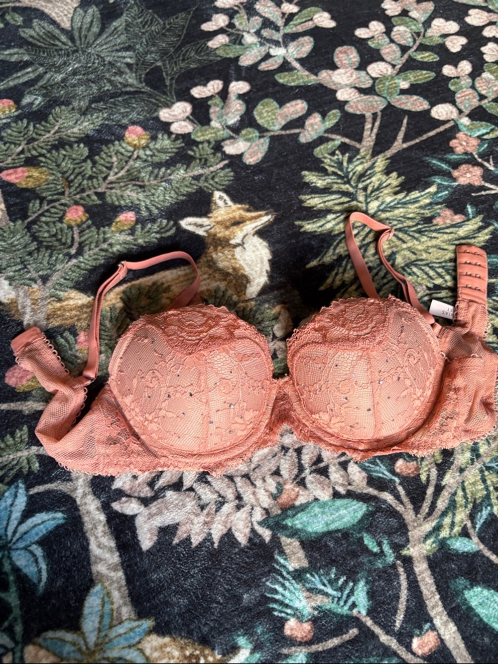 Victorias Secret Dream Angels Rhinestone Demi Bra NWOT